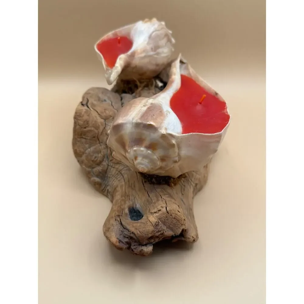 🐚 Vintage Seashell Candle Holder Driftwood Base Miami Florida Beach Decor